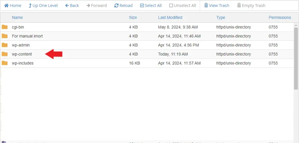  رفتن به پوشه wp-content برای نصب پوسته در وردپرس