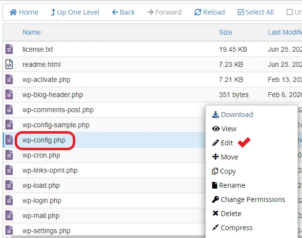 ویرایش فایل wp-config.php در روت هاست
