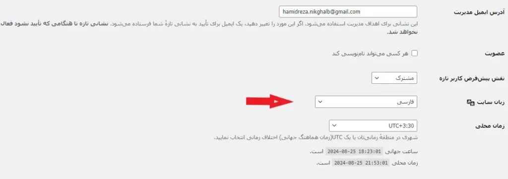بررسی تنظیمات زبان سایت برای مشکل زبان انگلیسی المنتور نسخه رایگان