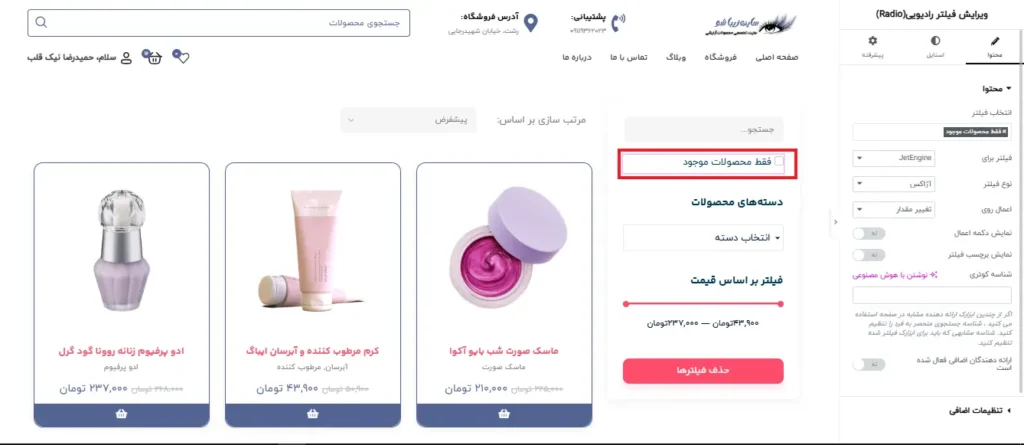 اضافه کردن فیلتر محصول موجود به صفحه فروشگاه با المنتور