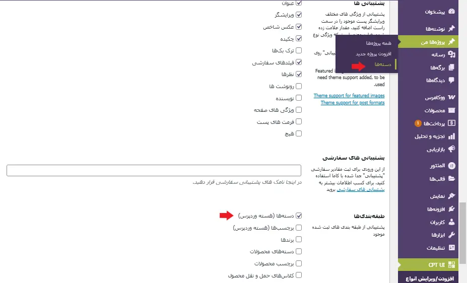 اتصال طبقه بندی به پست تایپ سفارشی