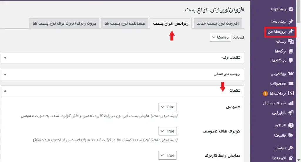 بخش تنظیمات پست تایپ سفارشی